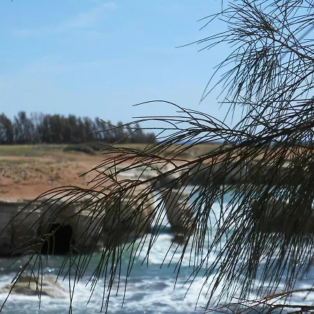 22c Christina Hilltop *