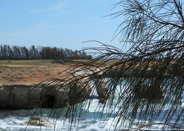 22c Christina Hilltop *